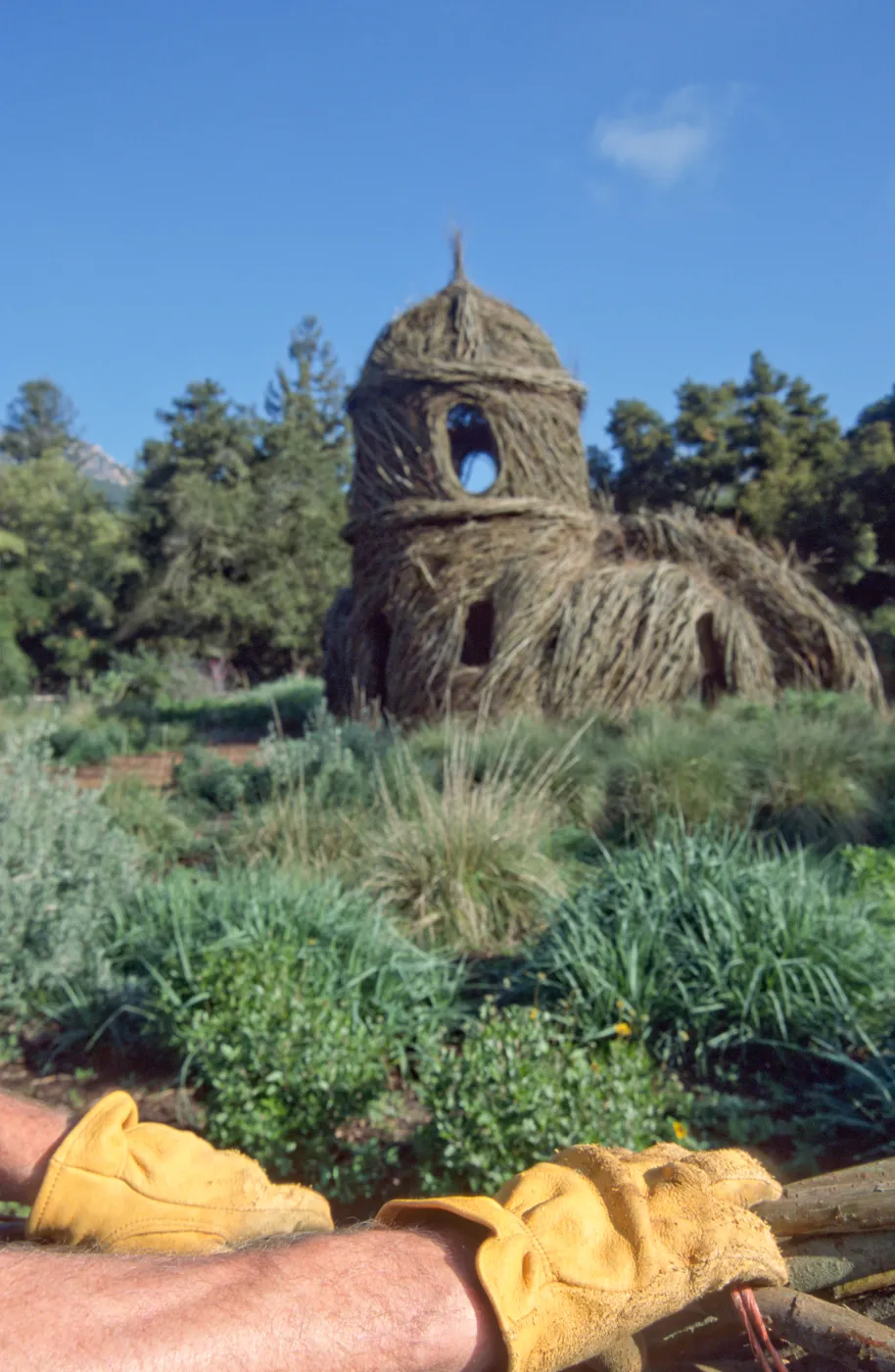 Toad Hall