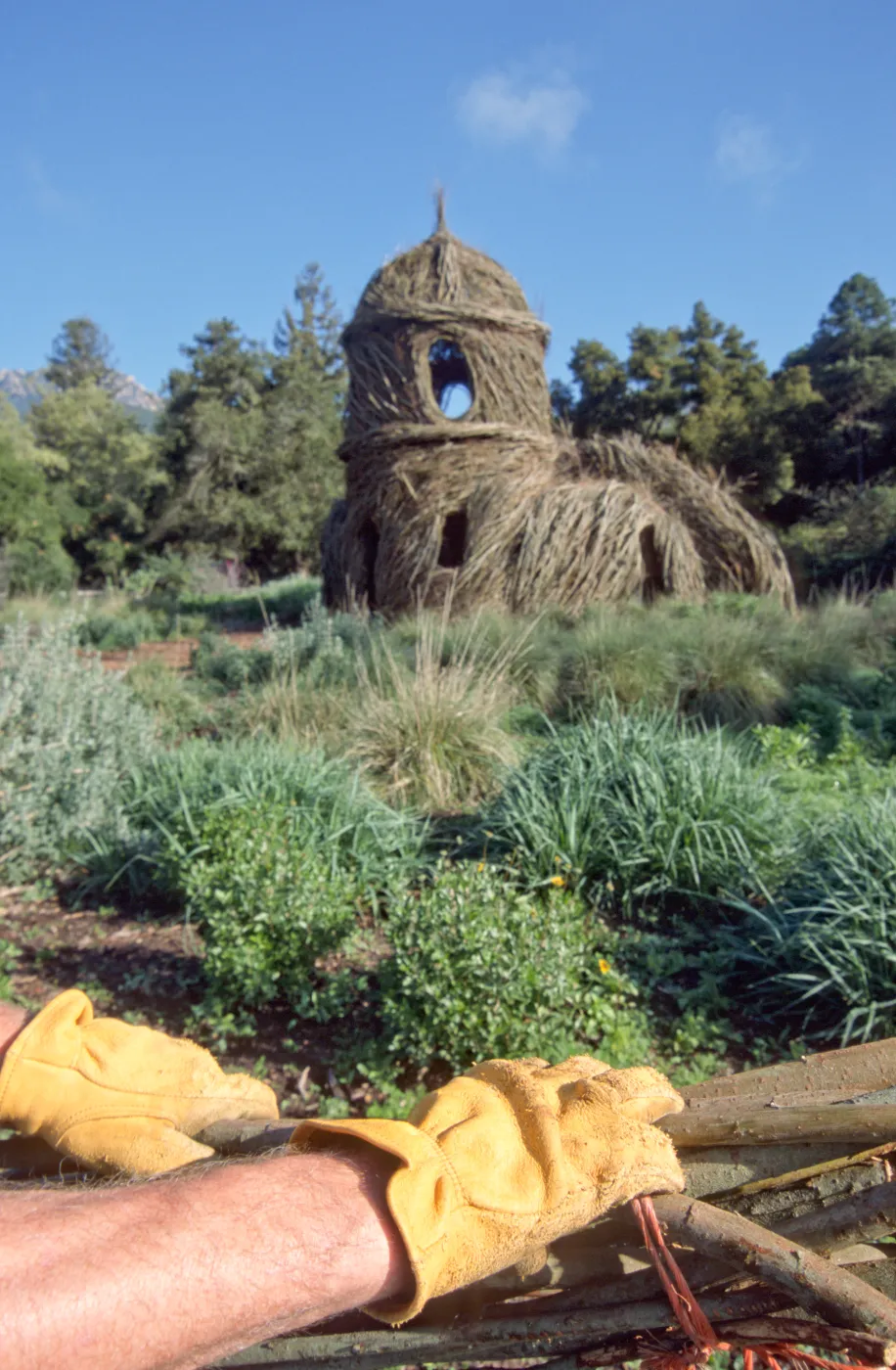 Toad Hall