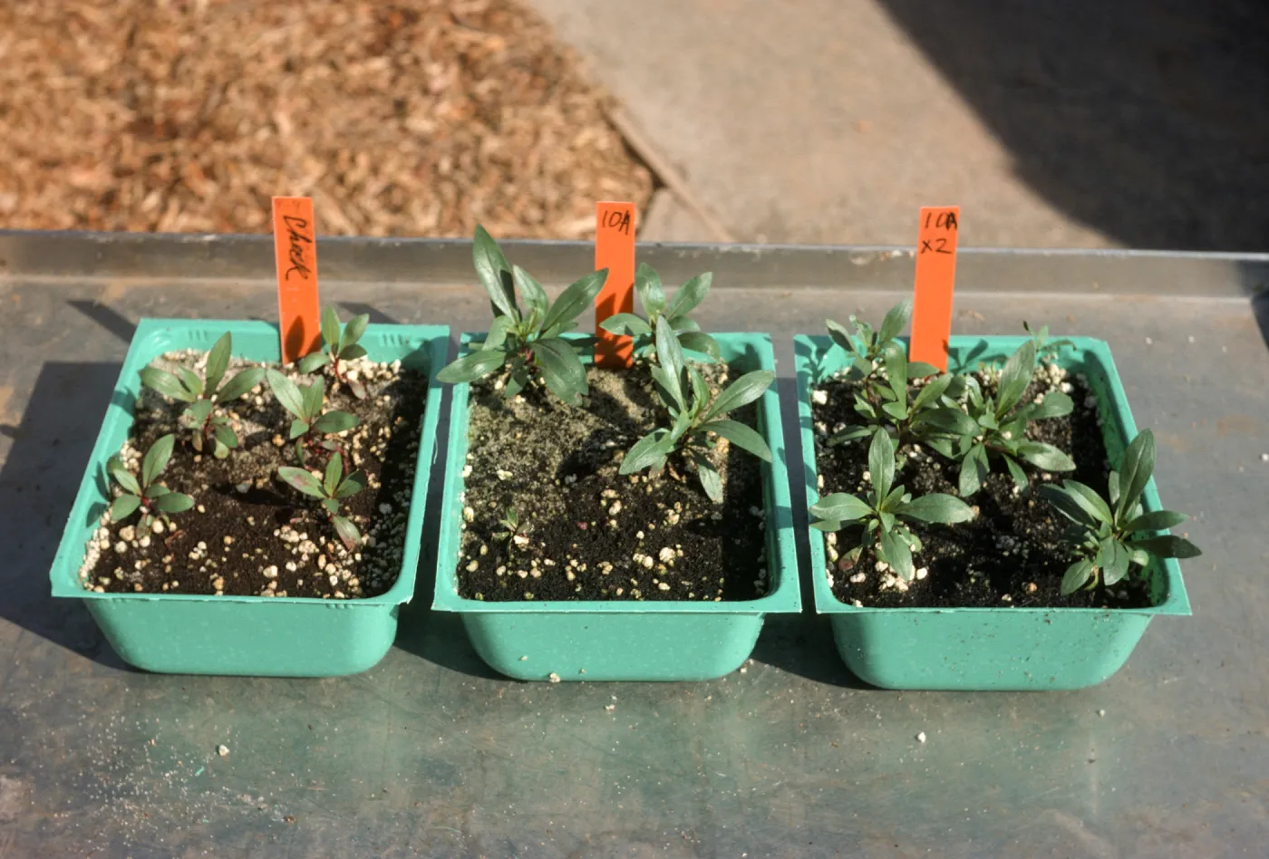 Soil mix test Bio Con 400 test