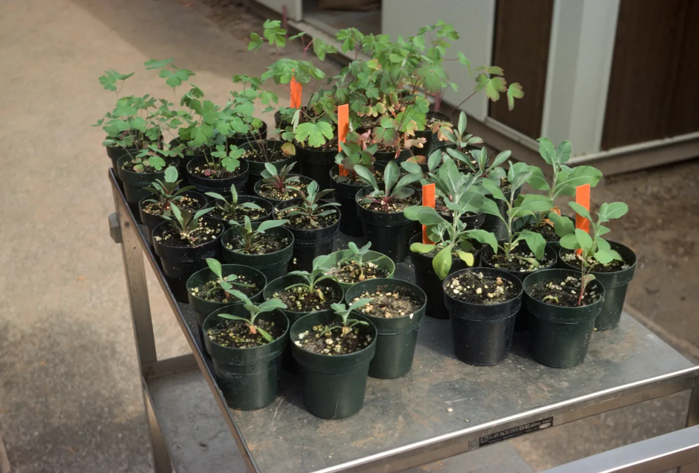 Soil mix test Bio Con 400 test