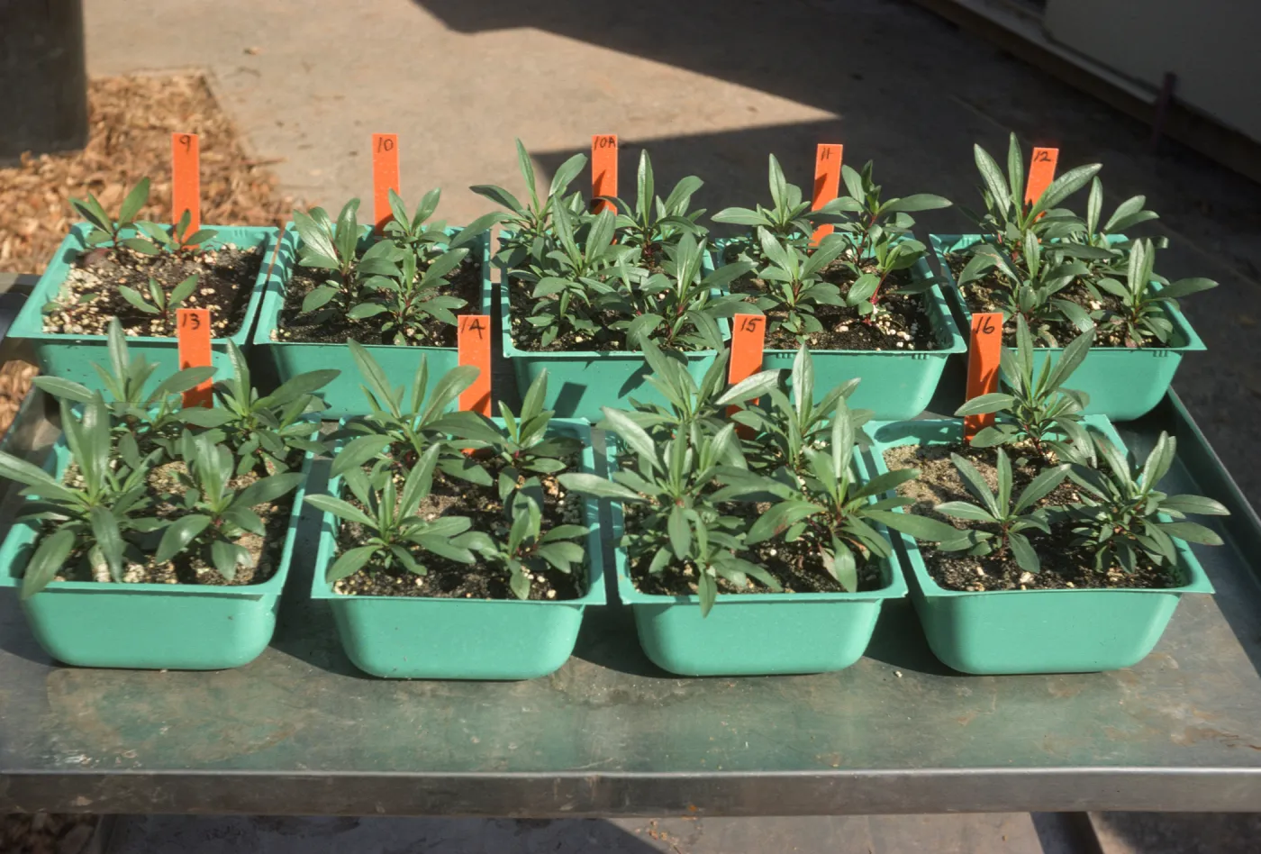 Soil test Bio Con 400 test