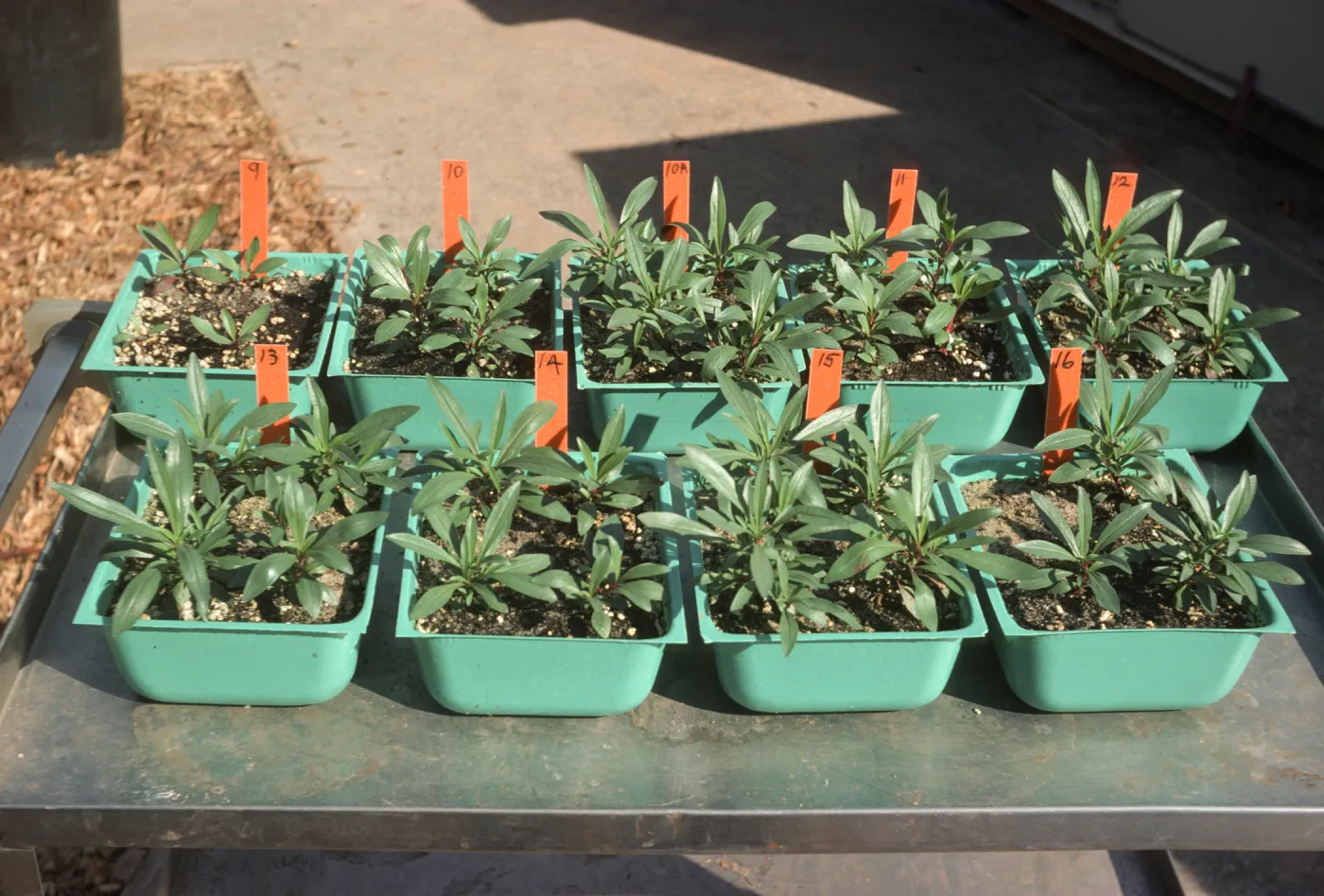 Soil test Bio Con 400 test