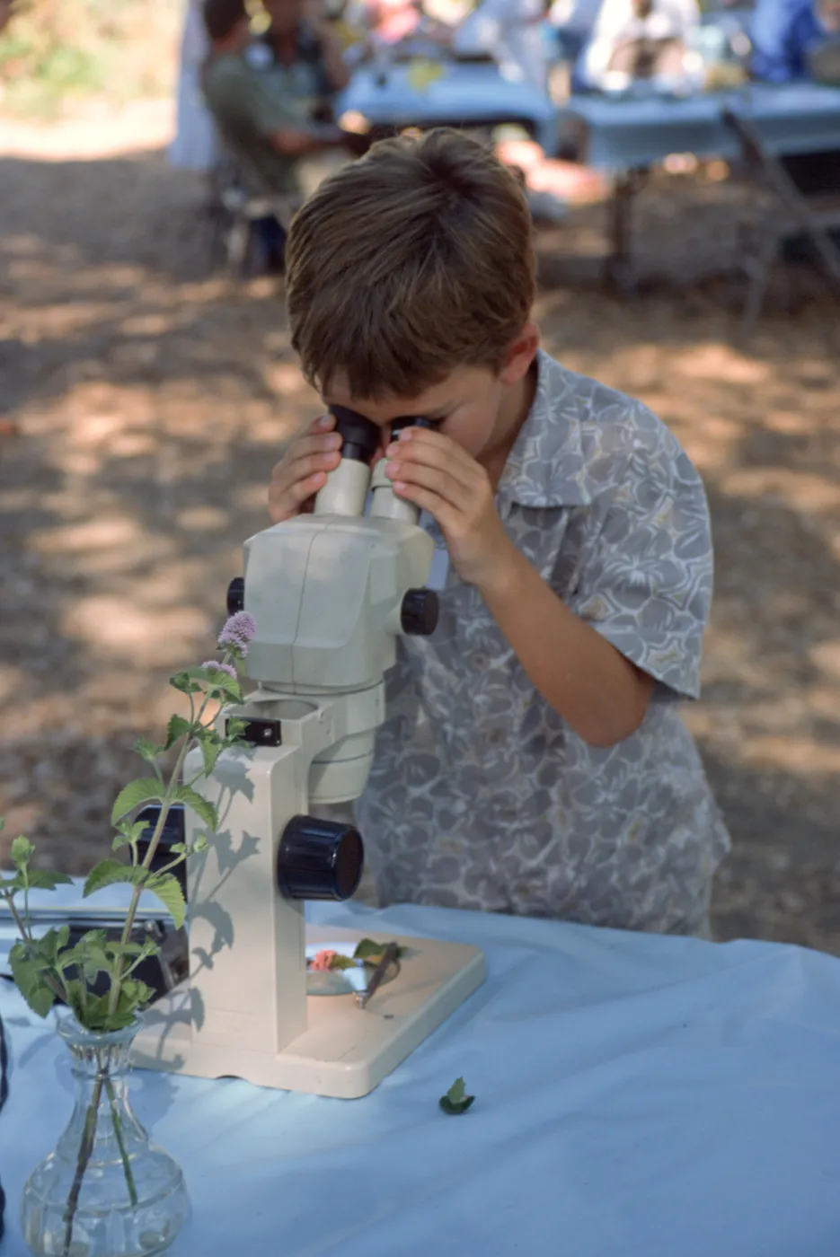 boy using microscope