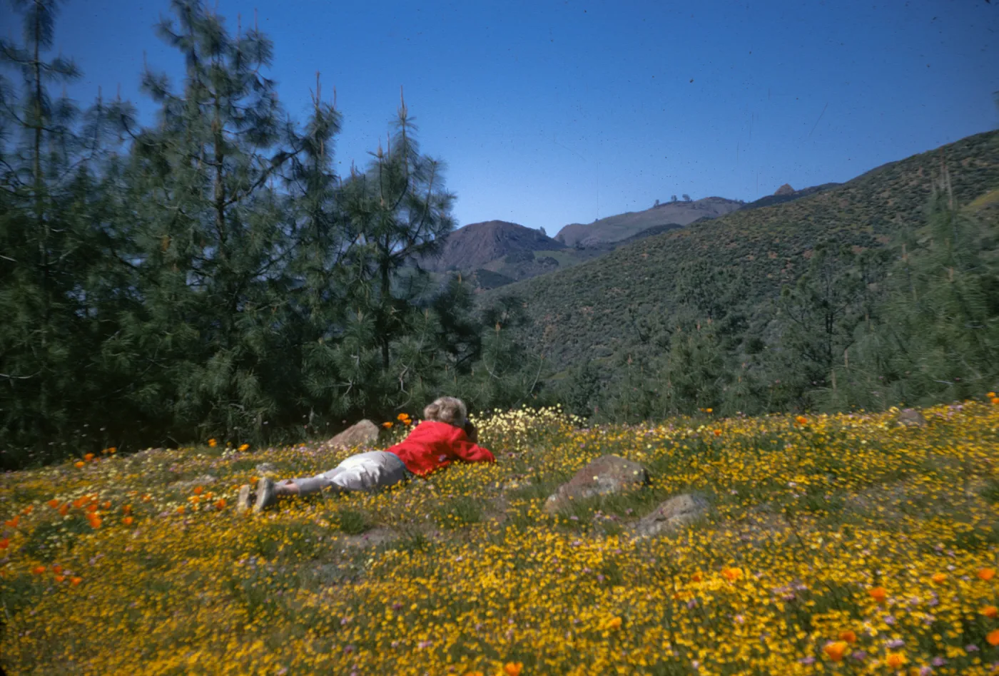 Lyda photographing flowers, De la Guerra Springs