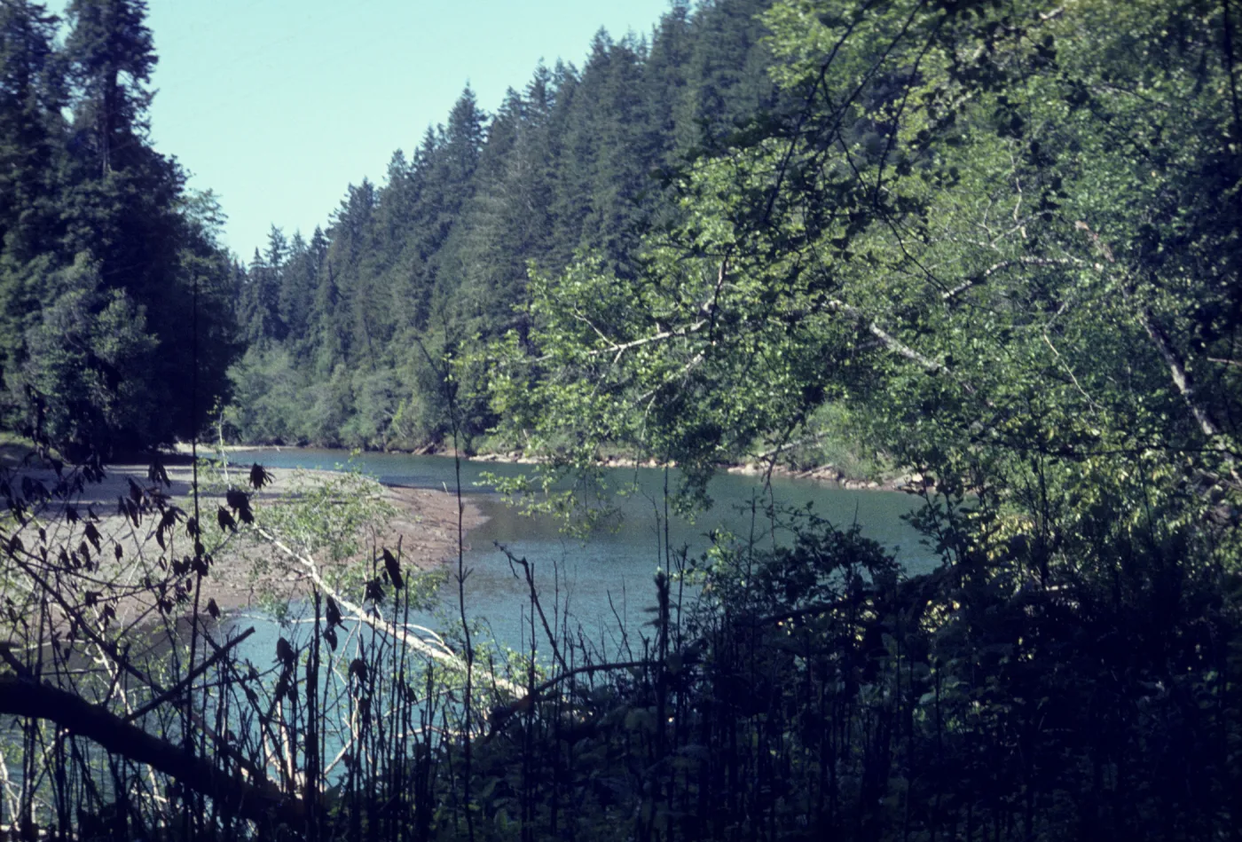Gualala River