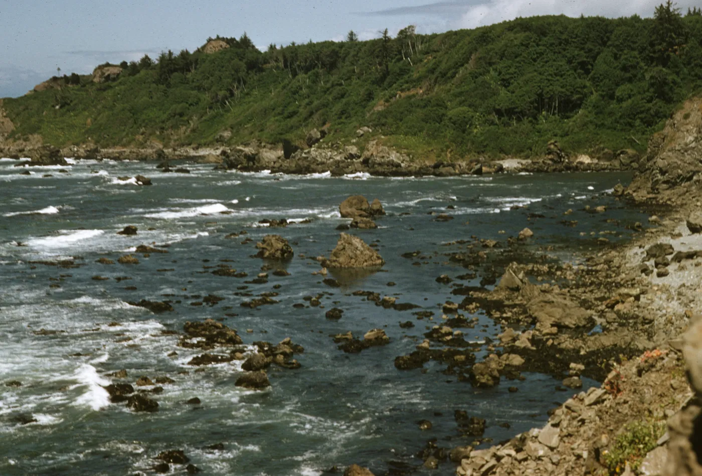 Patricks Point