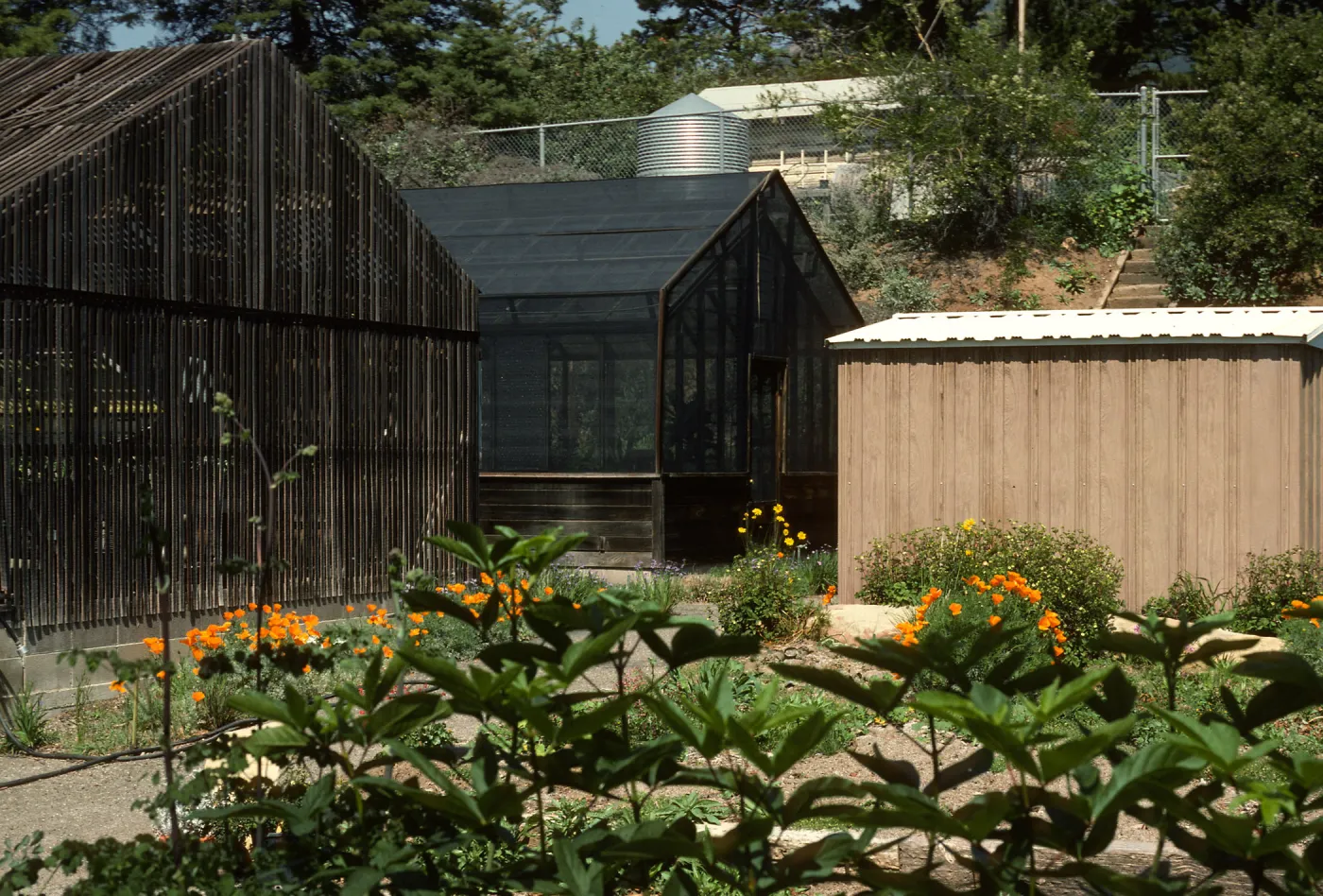 Hort Unit, lath houses, metal sheds, test plot