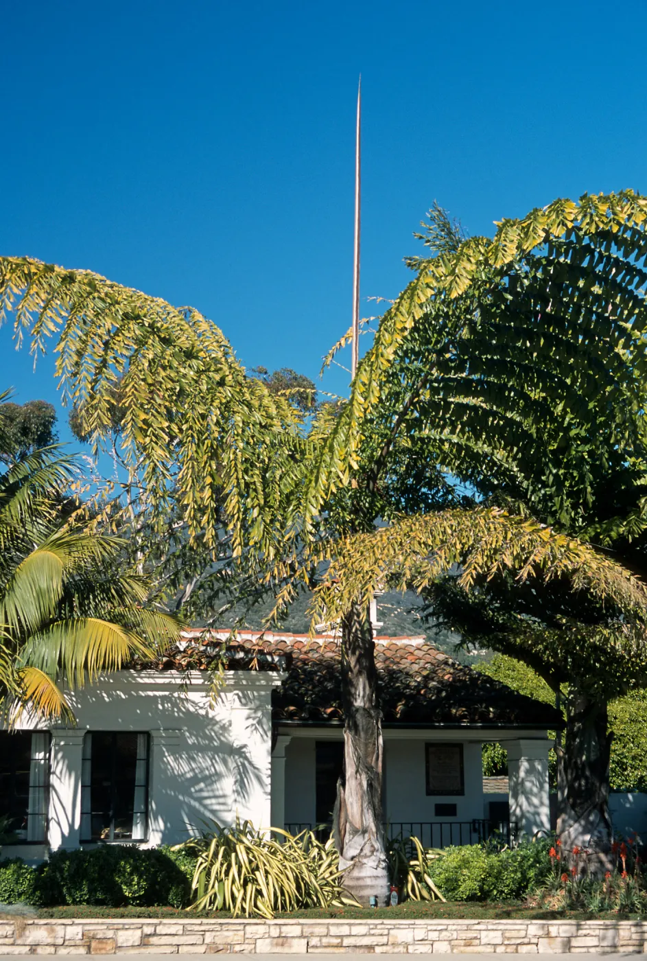Trees of Santa Barbara Talk - Caryota gigas