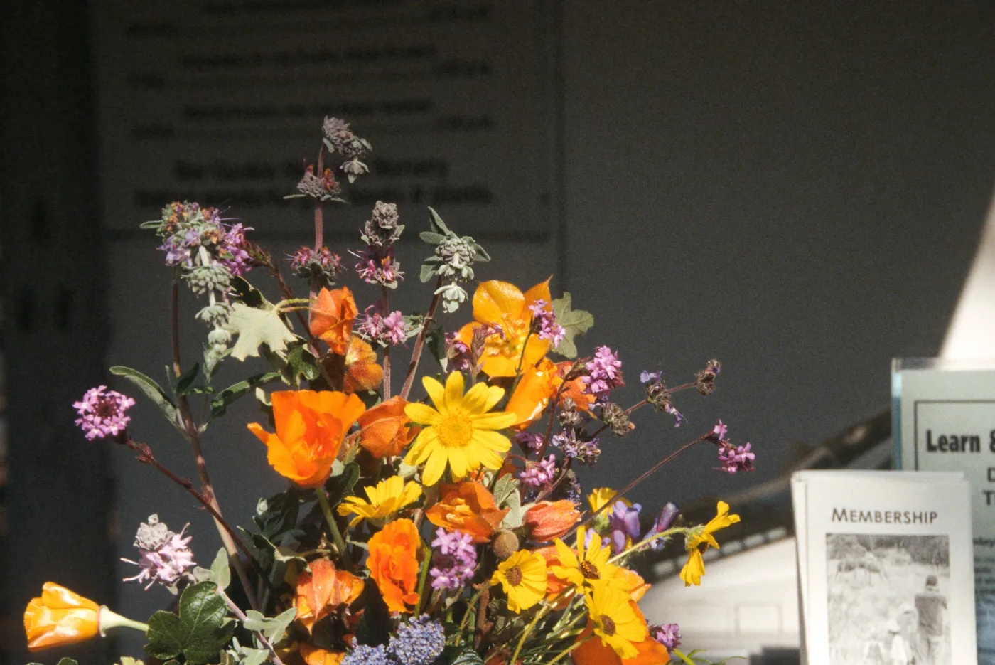 Native Plant Flower Arrangements