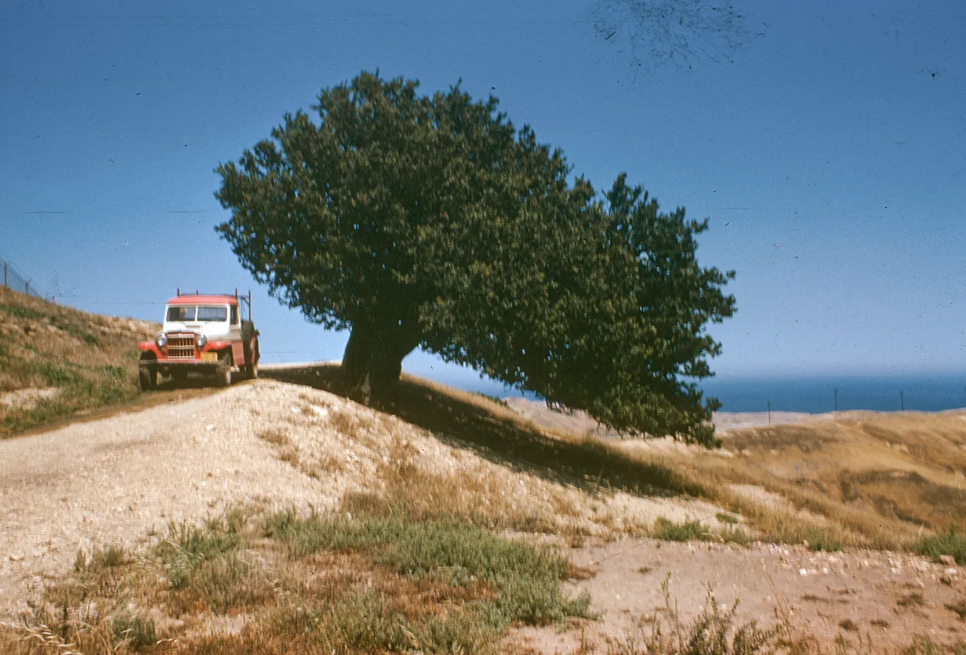 Untitled slide (pickup truck and tree)