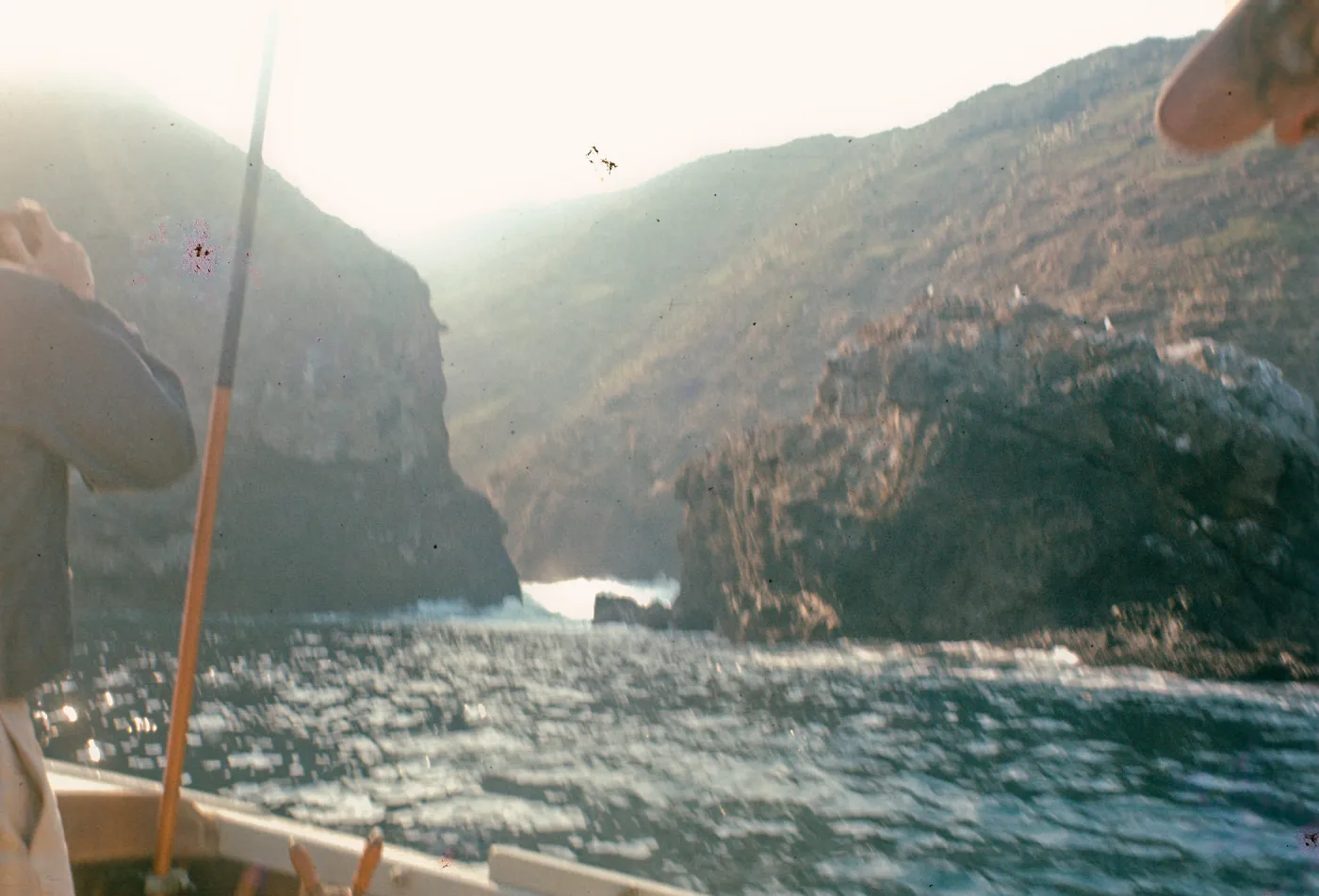 Santa Cruz Island