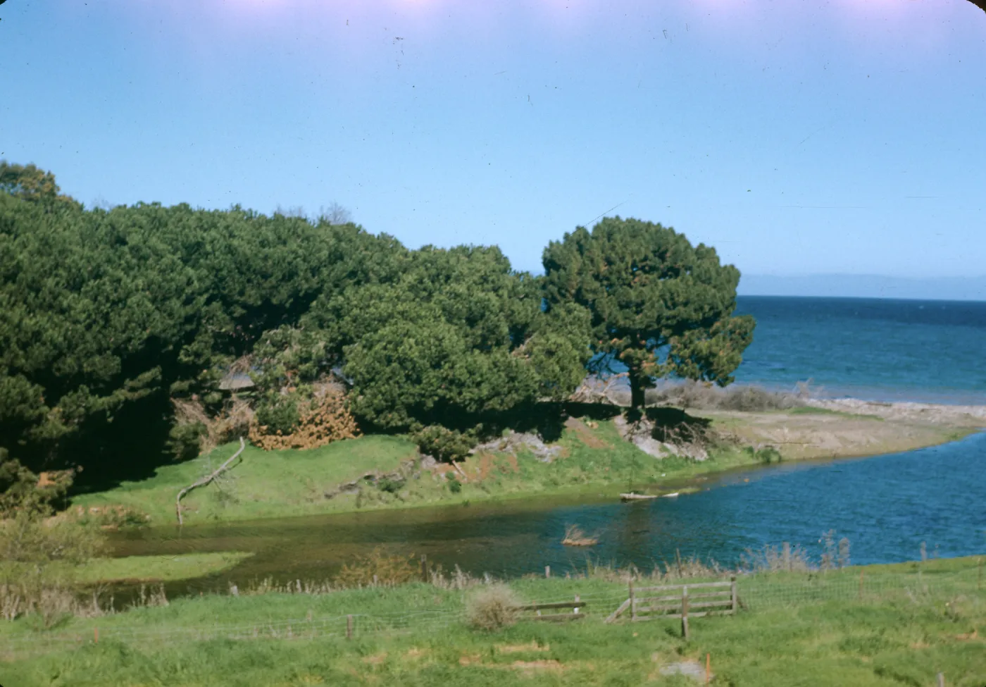 Santa Rosa Island?