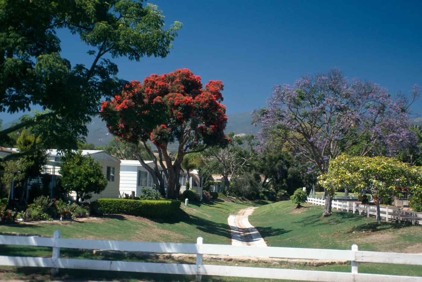 View Mobile Homepark Trees