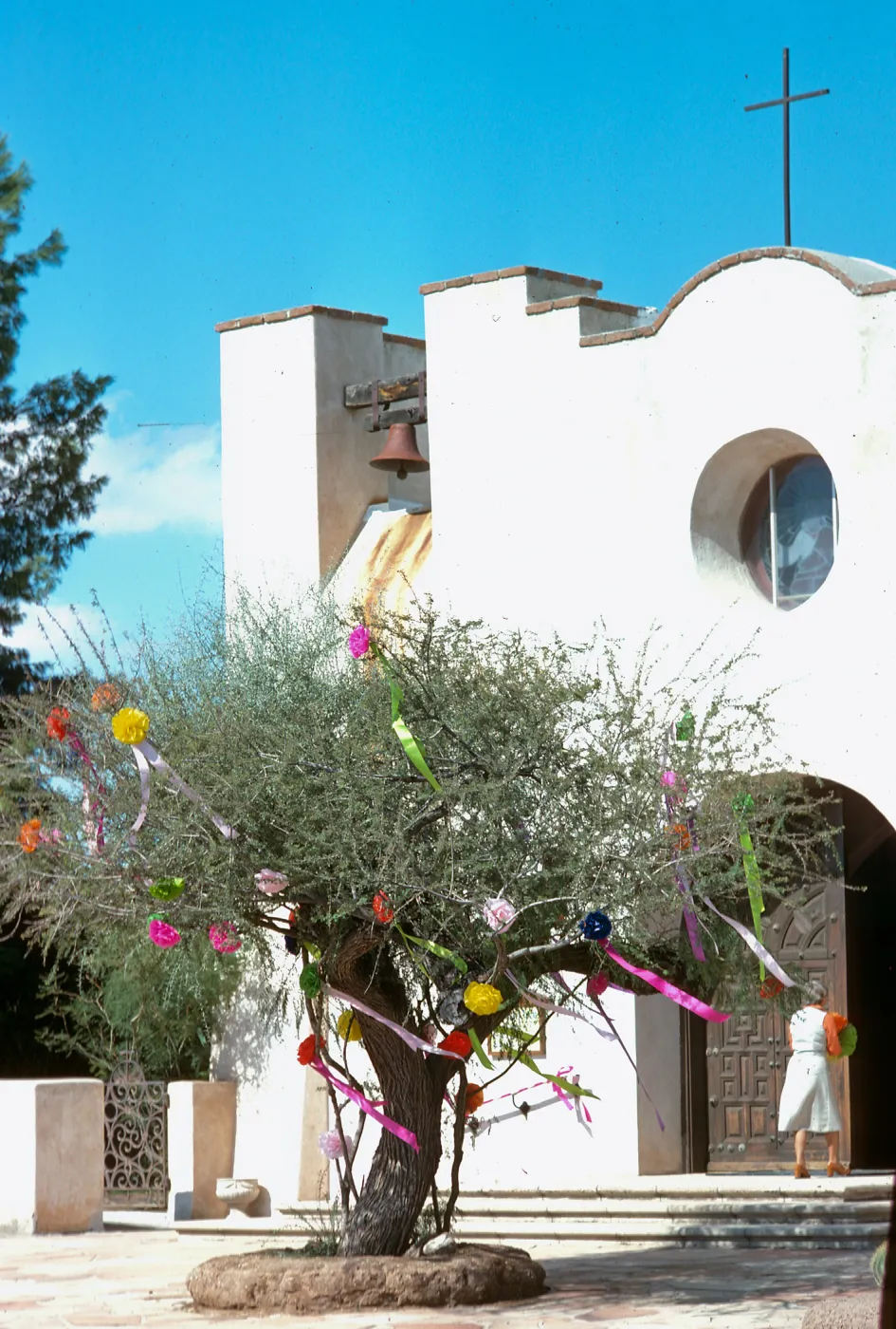 AZ, Tucson, Decorated Trees