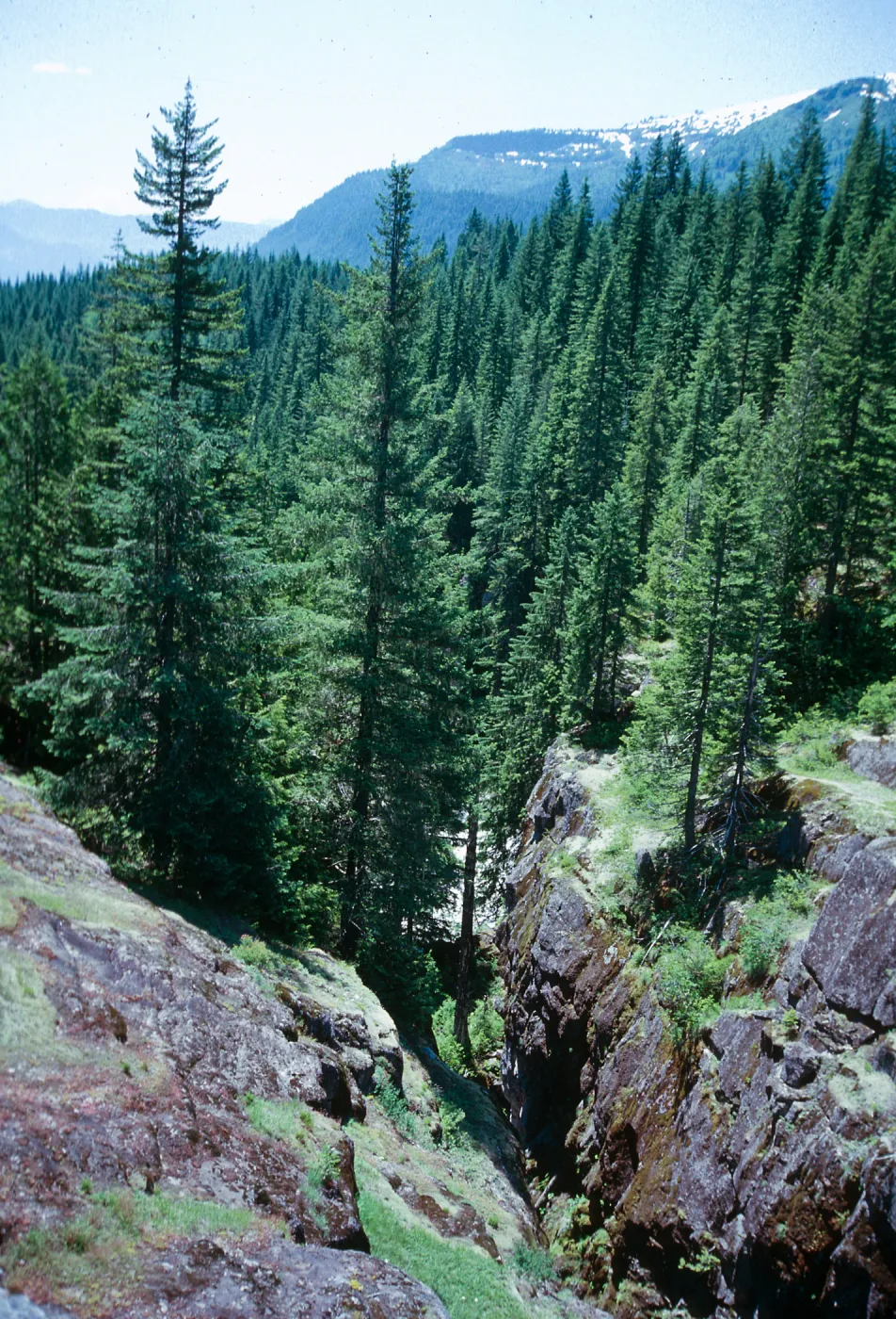 WA, Mt. Rainier National Park, box canyon