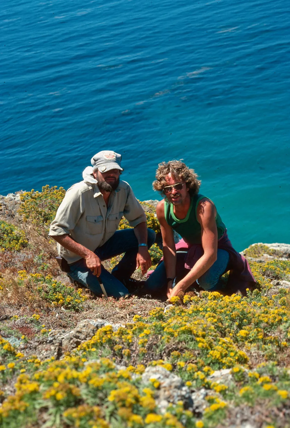 Steve Timbrook and Steve Junak, Santa Barbara Island