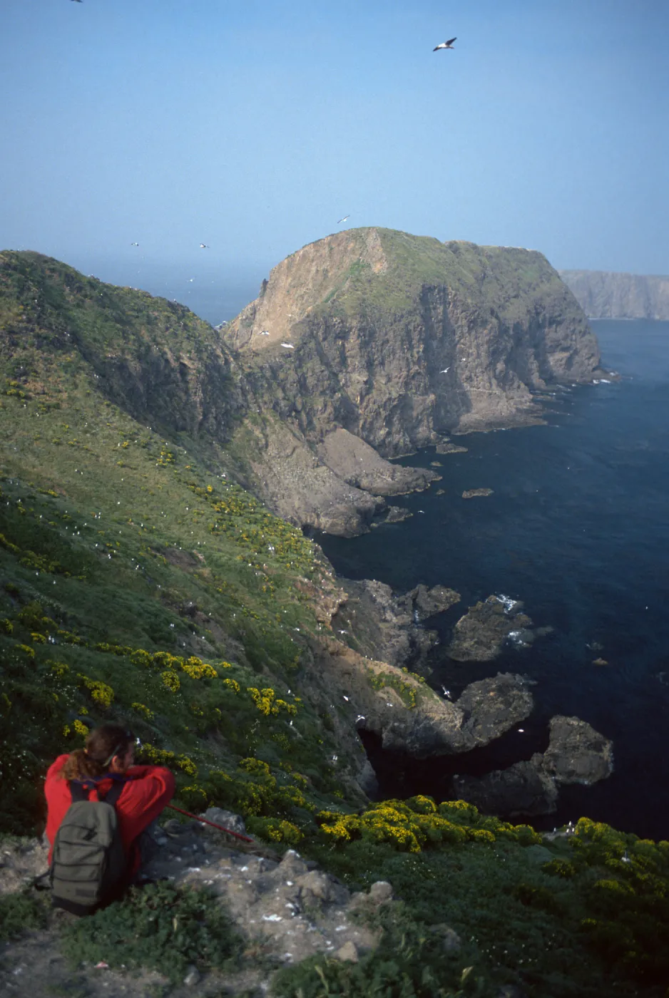 Overlooking East Fish Camp