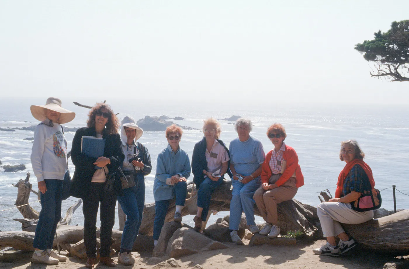 Docent field trip to Point Lobos with Mary Carroll
