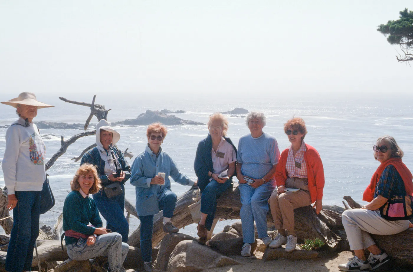 Docent field trip to Point Lobos with Mary Carroll