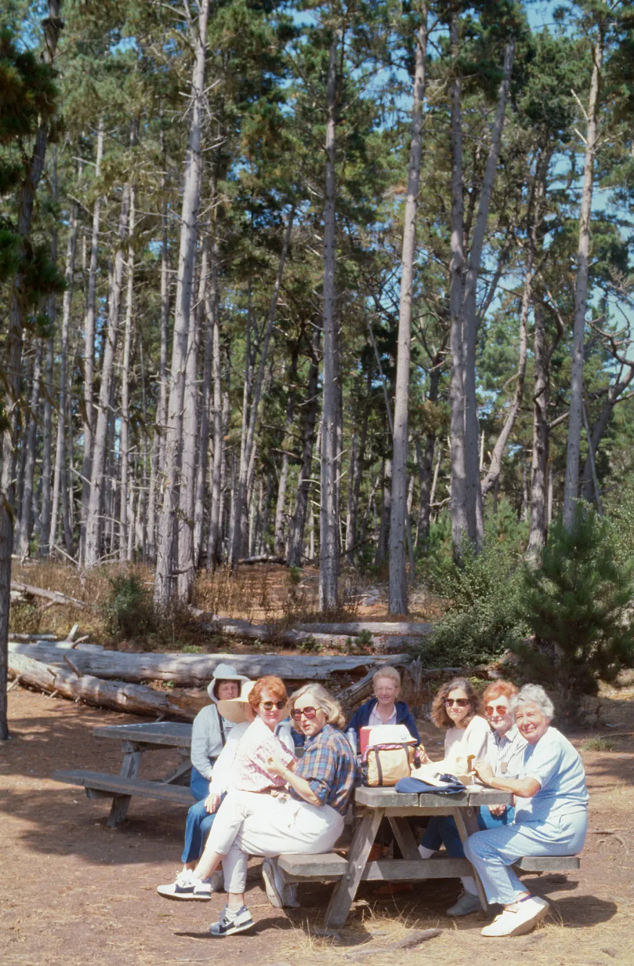 Docent field trip to Point Lobos with Mary Carroll