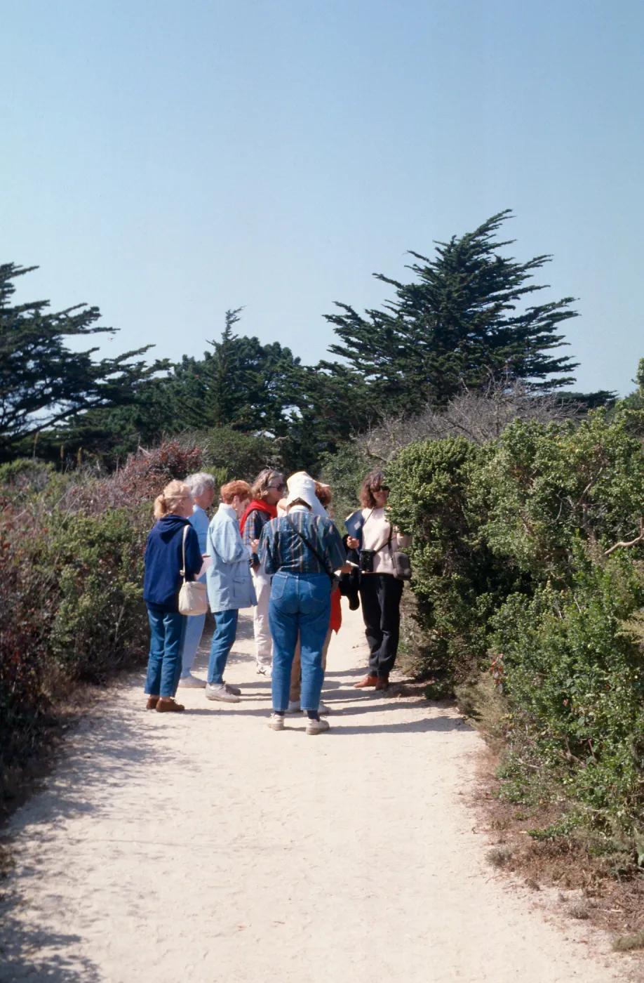 Docent field trip to Point Lobos with Mary Carroll