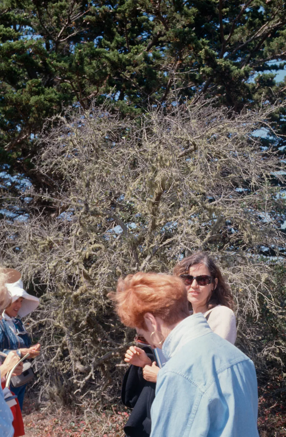 Docent field trip to Point Lobos with Mary Carroll