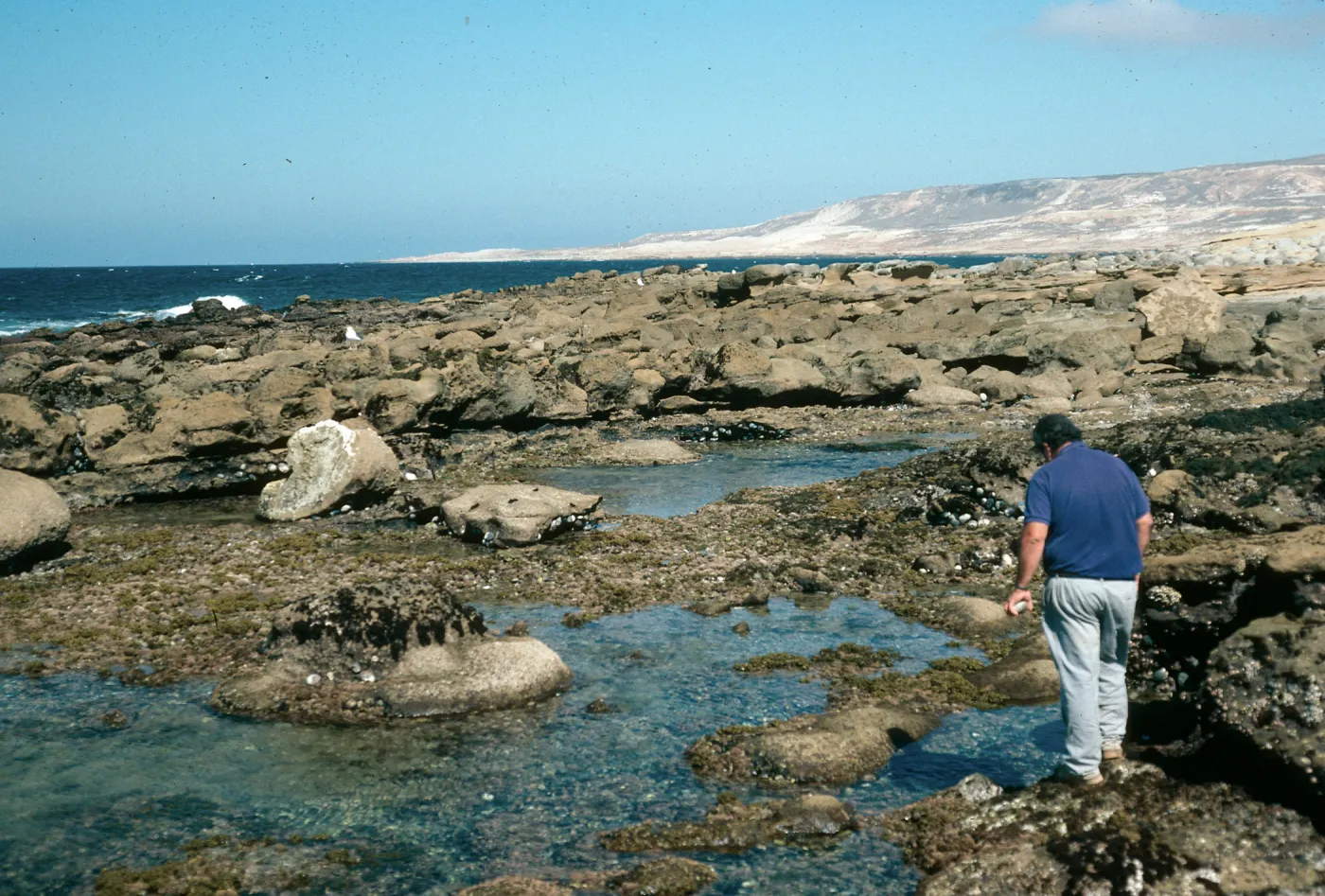 Tidepools, San Nicolas Island, Vizcaino Point