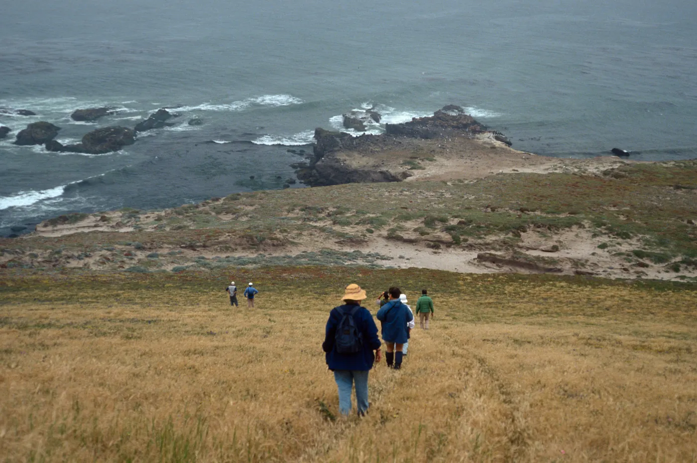 Carrington Point, Santa Rosa Island