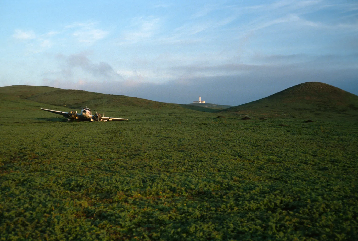 plane wreck, lighthouse, Mesembryanthemum crystallinum, Natividad I.