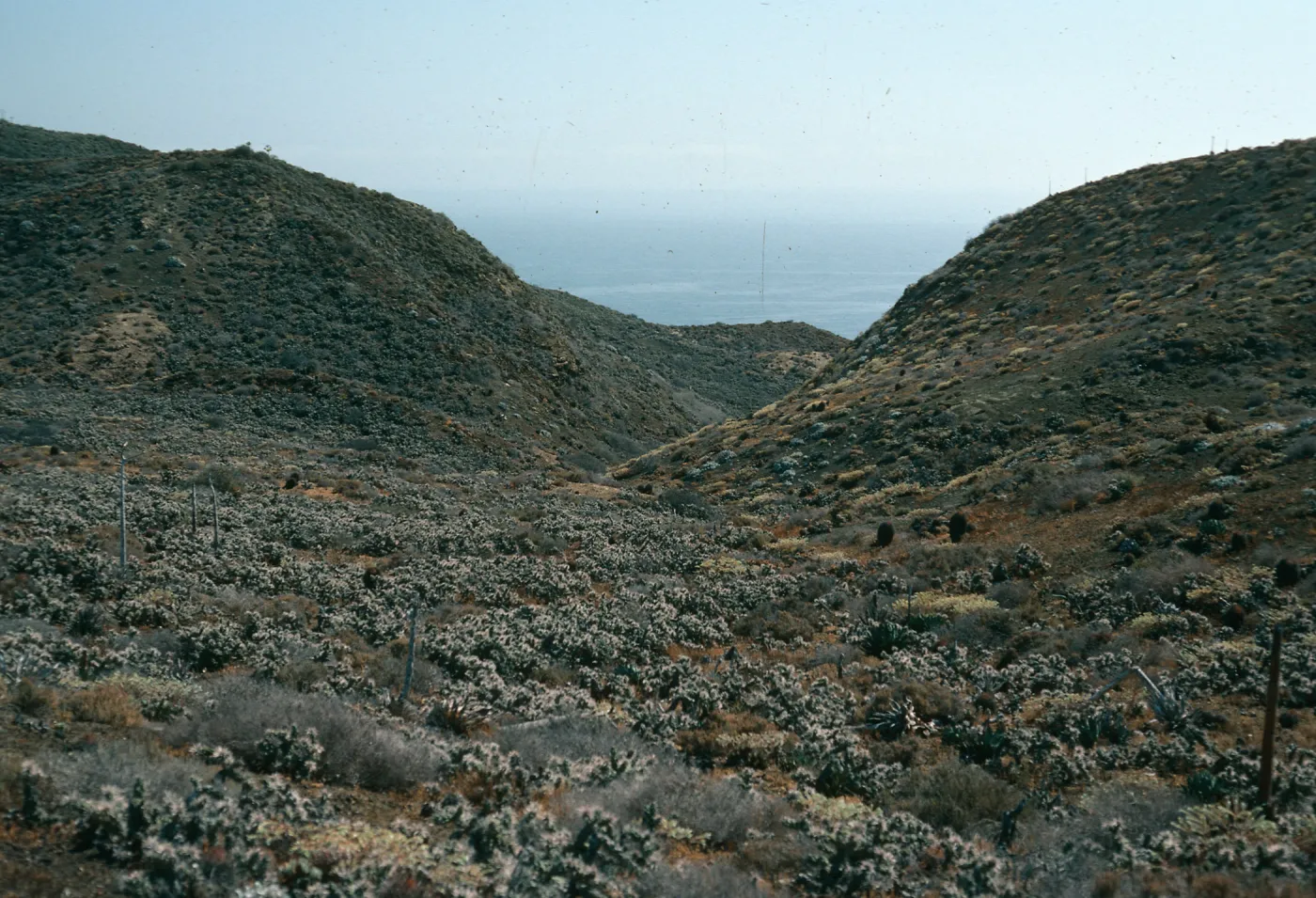 Natividad Island