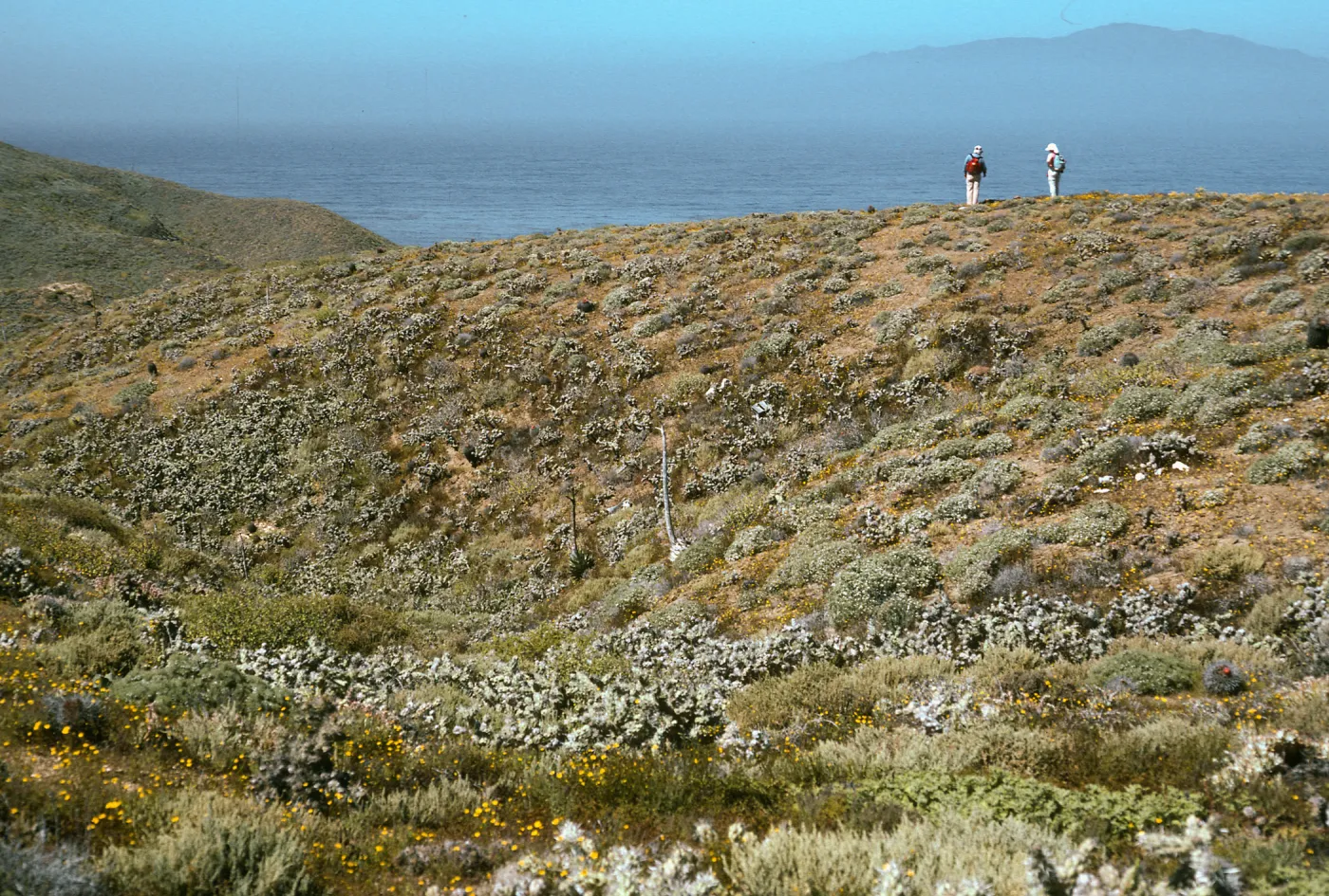 Natividad Island