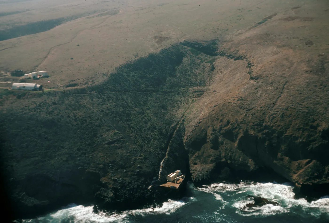landing cove, Santa Barbara Island
