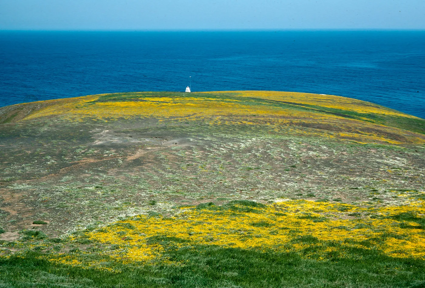 Arch Point, Santa Barbara Island