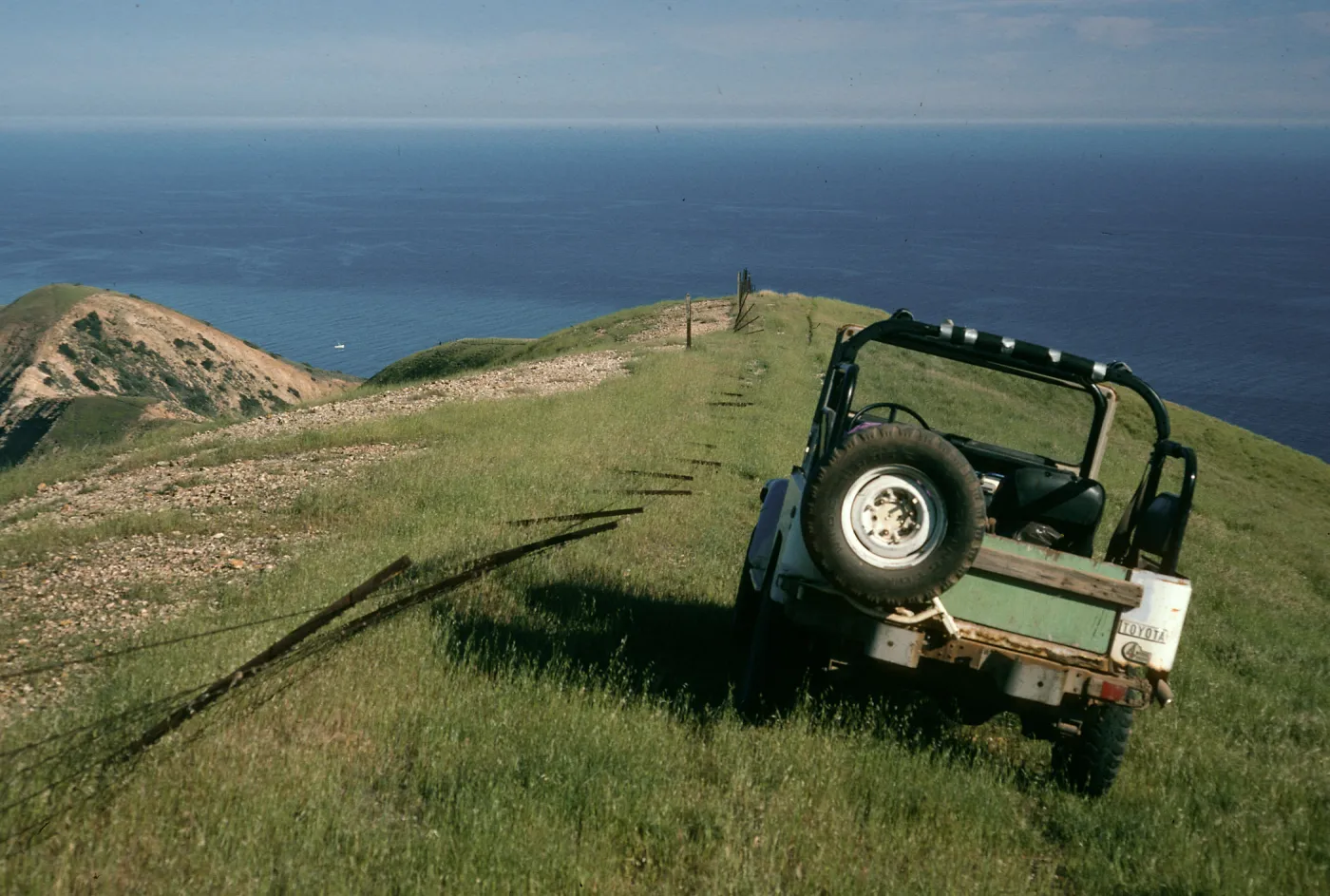 Downed sheep fence, TNC/ Gherini boundary