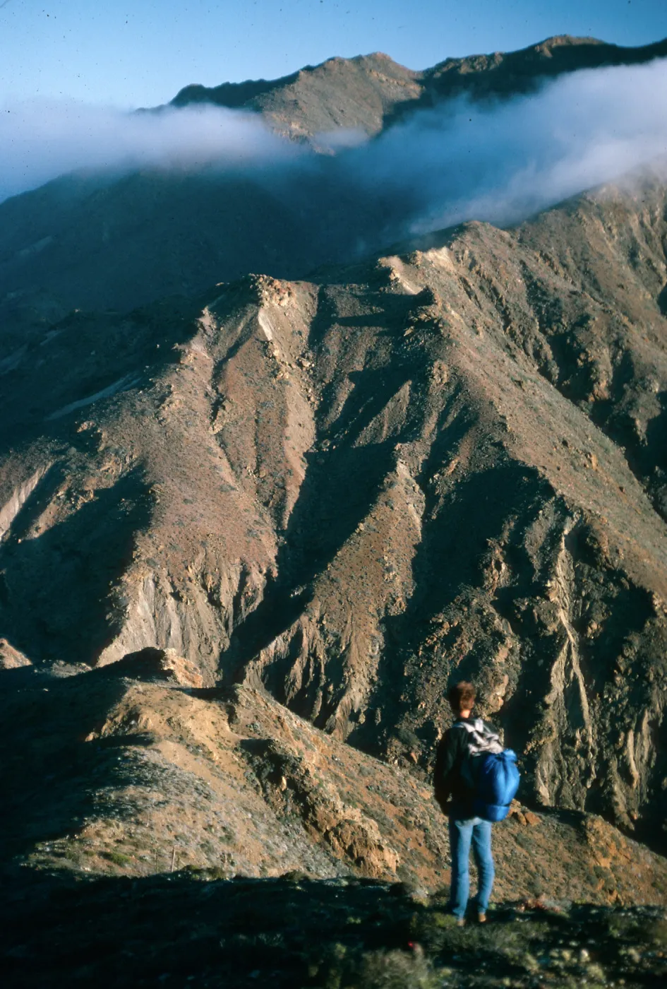 Cedros Island
