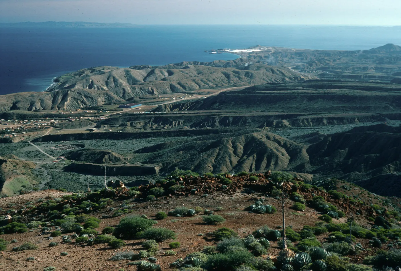 Cedros Island