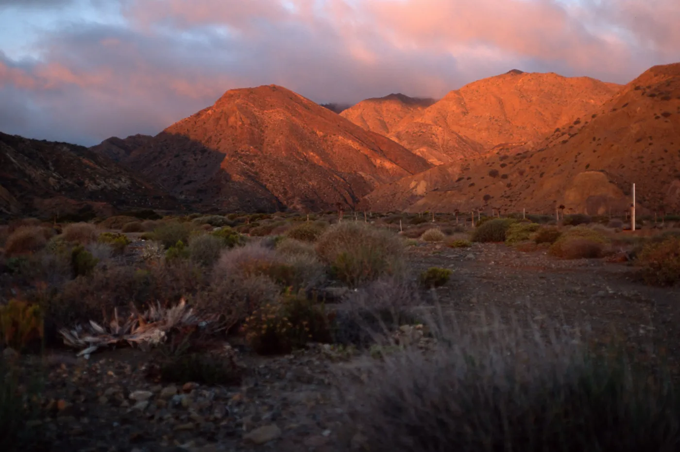 Cedros Island, dawn at Gran Canon