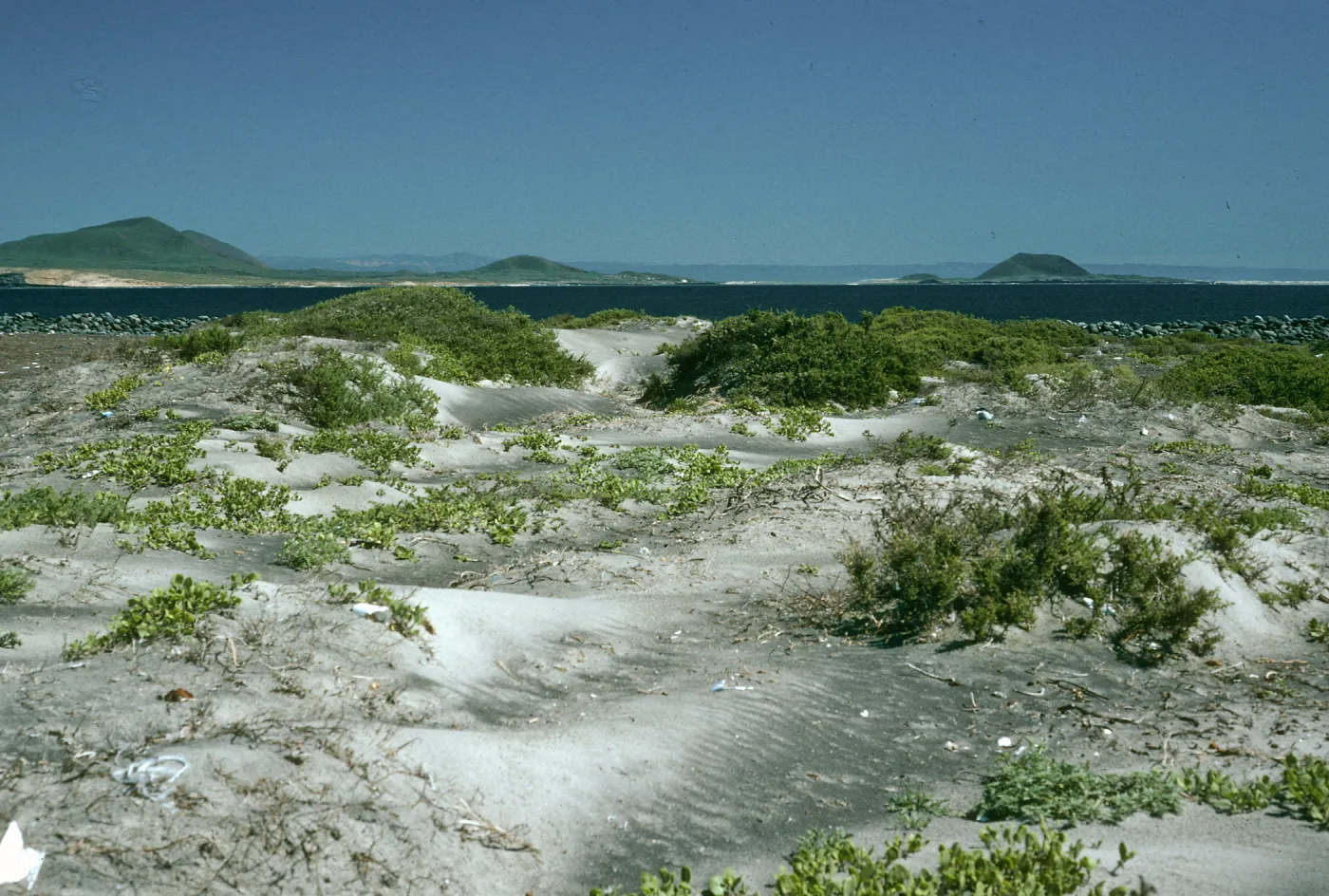 San Martin Island, dunes, Hassler’s Cove