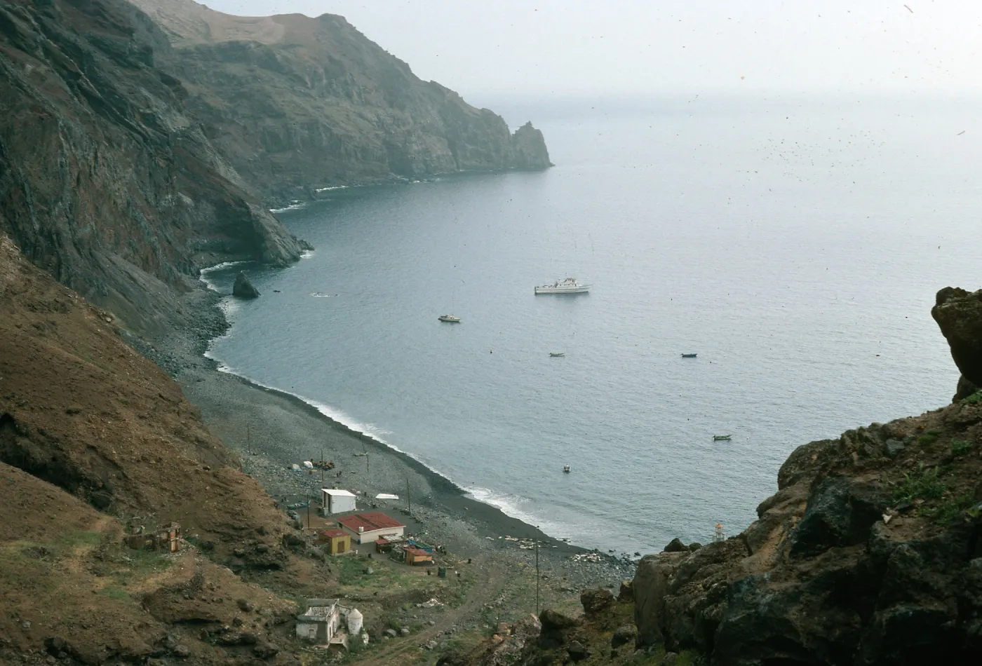 Guadalupe Island, Northeast Anchorage