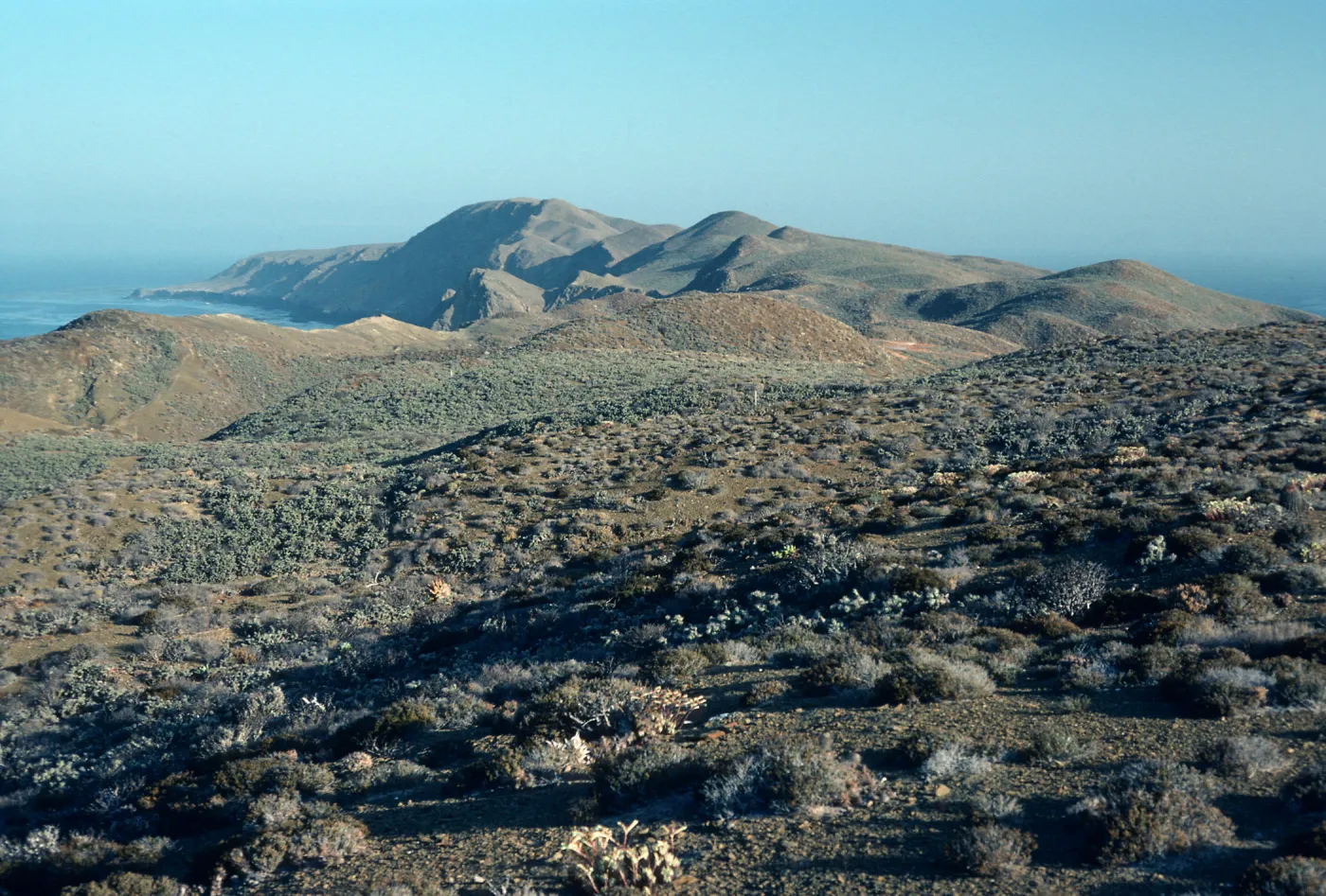 Natividad Island, looking North from highlands, North of lighthouse