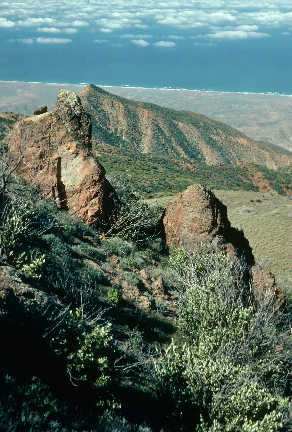 Cedros Island
