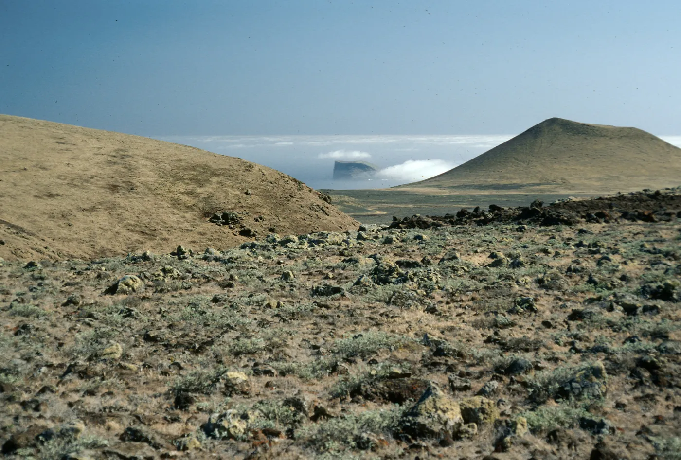 Guadalupe Island, view of outer islet, South end of island