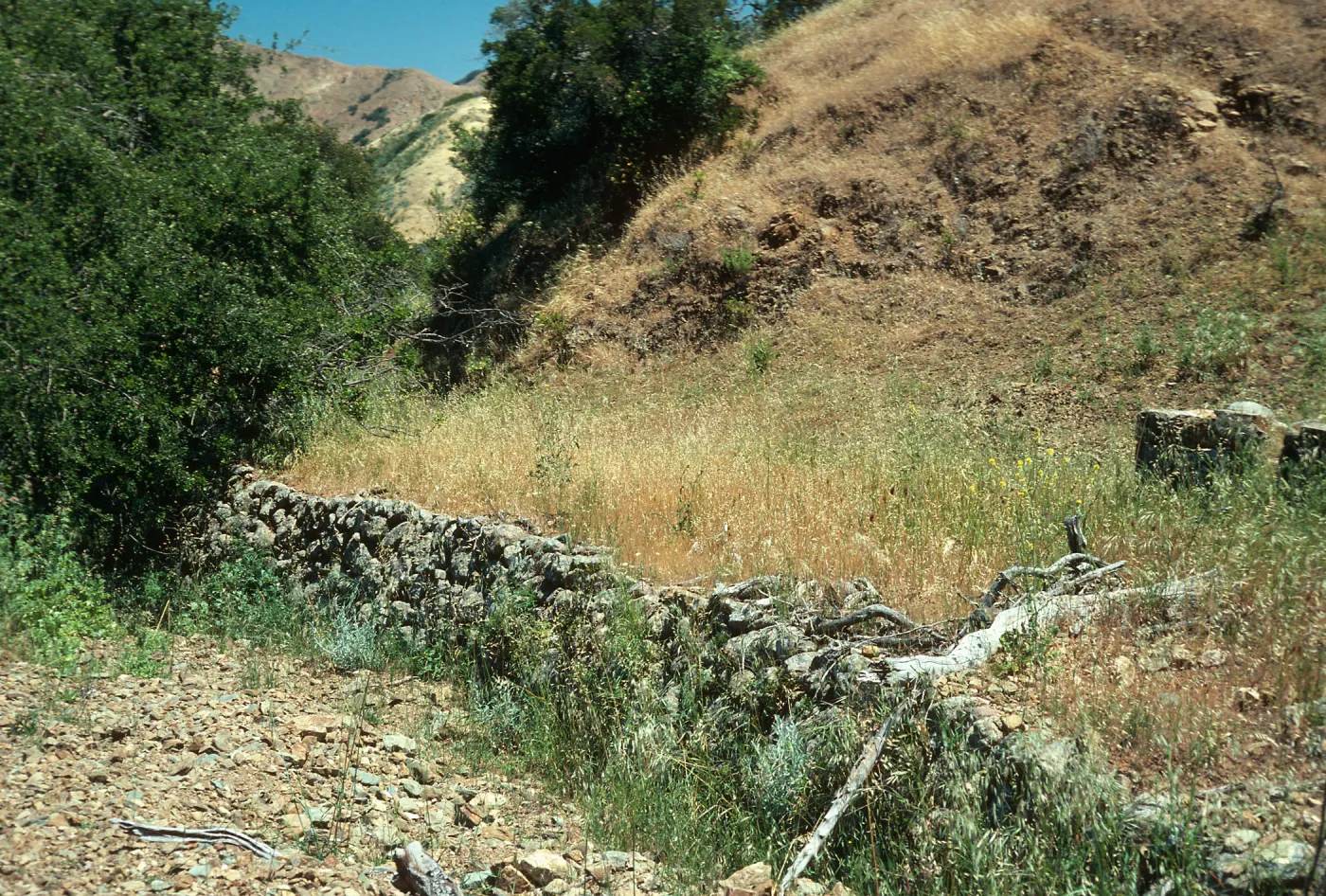 Santa Cruz Island, Middle Ranch ruins