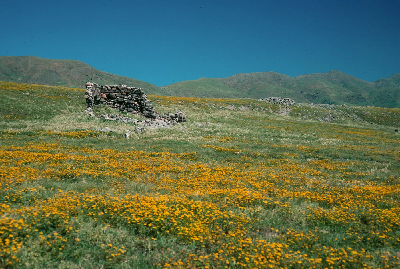 Santa Cruz Island, Campo Punta West, Fraser Point
