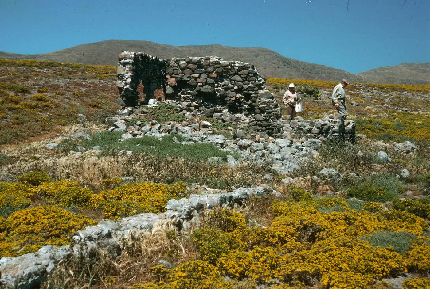 Santa Cruz Island, ruins, Forneys Cove