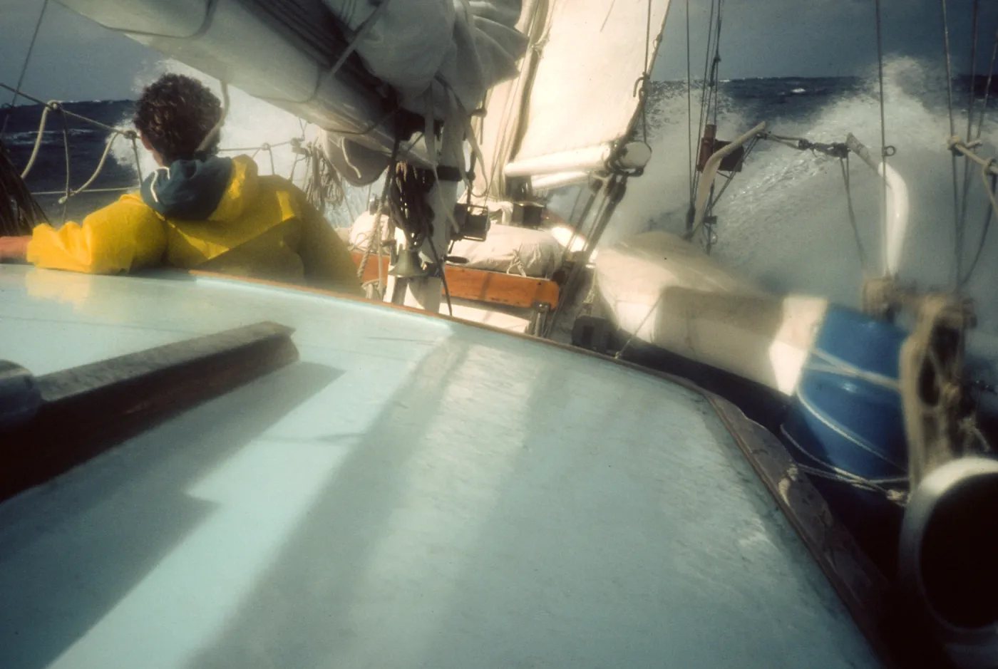 Guadalupe Island, schooner - Shearwater