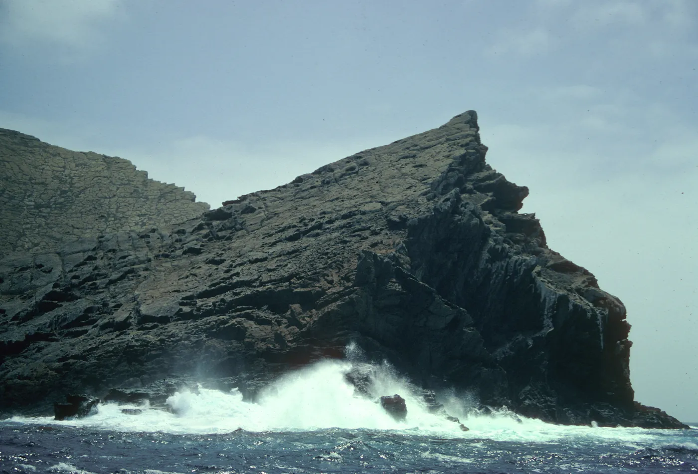 Guadalupe Island