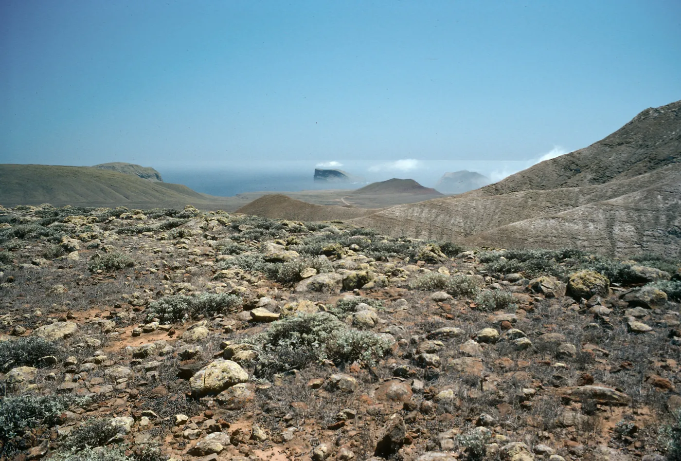 Guadalupe Island, view of outer & inner islets