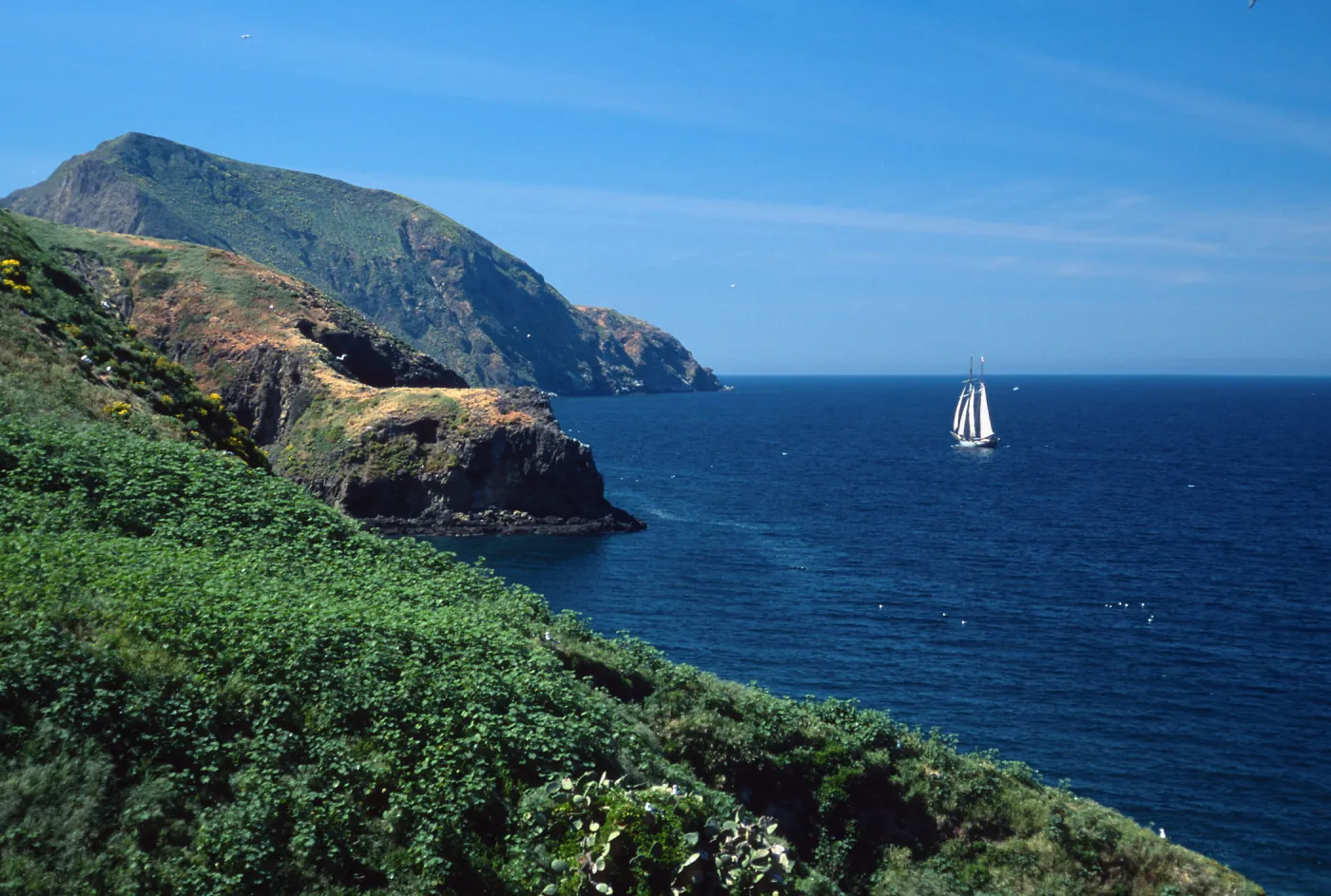 Middla Anacapa Island, tall ship “California”, looking west, sheep camp
