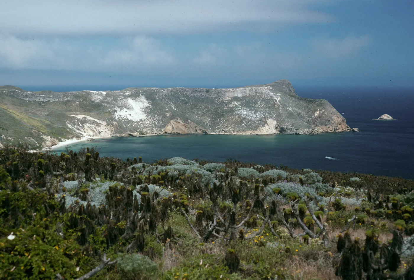 Cuyler Harbor, from Cabrillo Monument, San Miguel Island